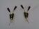 Mid-Century Modern German Wall Lamps, 1950s, Set of 2