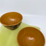 Bowls in dabbling Salins the baths