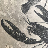 Original vintage engraving lobster and lobster