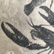 Original vintage engraving lobster and lobster