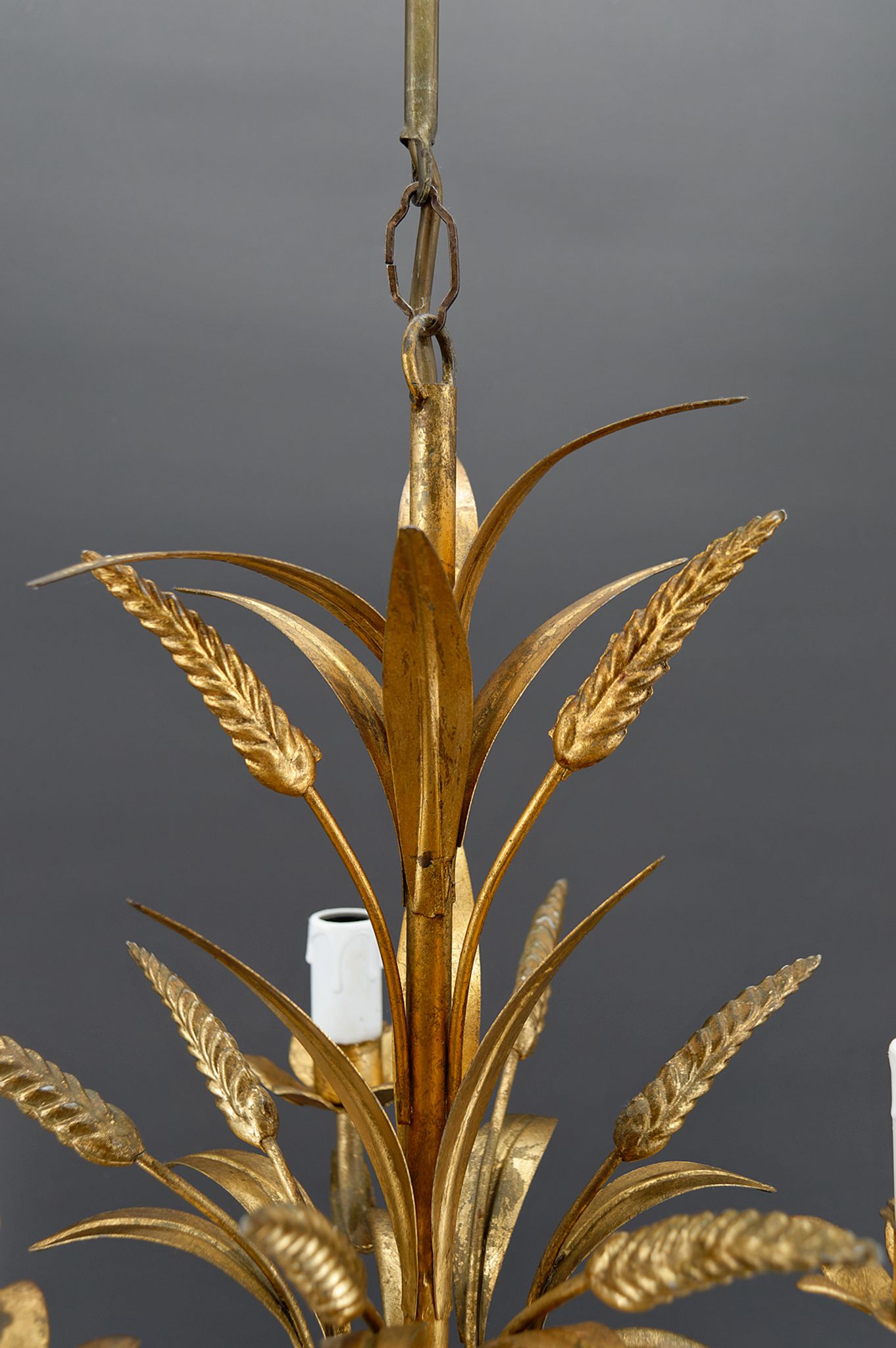 Golden suspension on ears of wheat, circa 1960