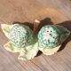 Salt & pepper set in slip – artichokes on leaf tray