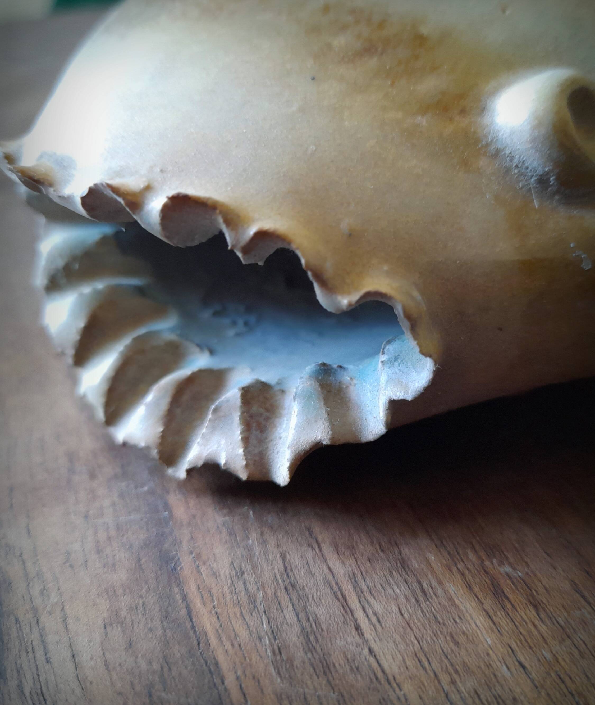 Fish vase, Alexandre Kostanda, Vallauris, 1960s