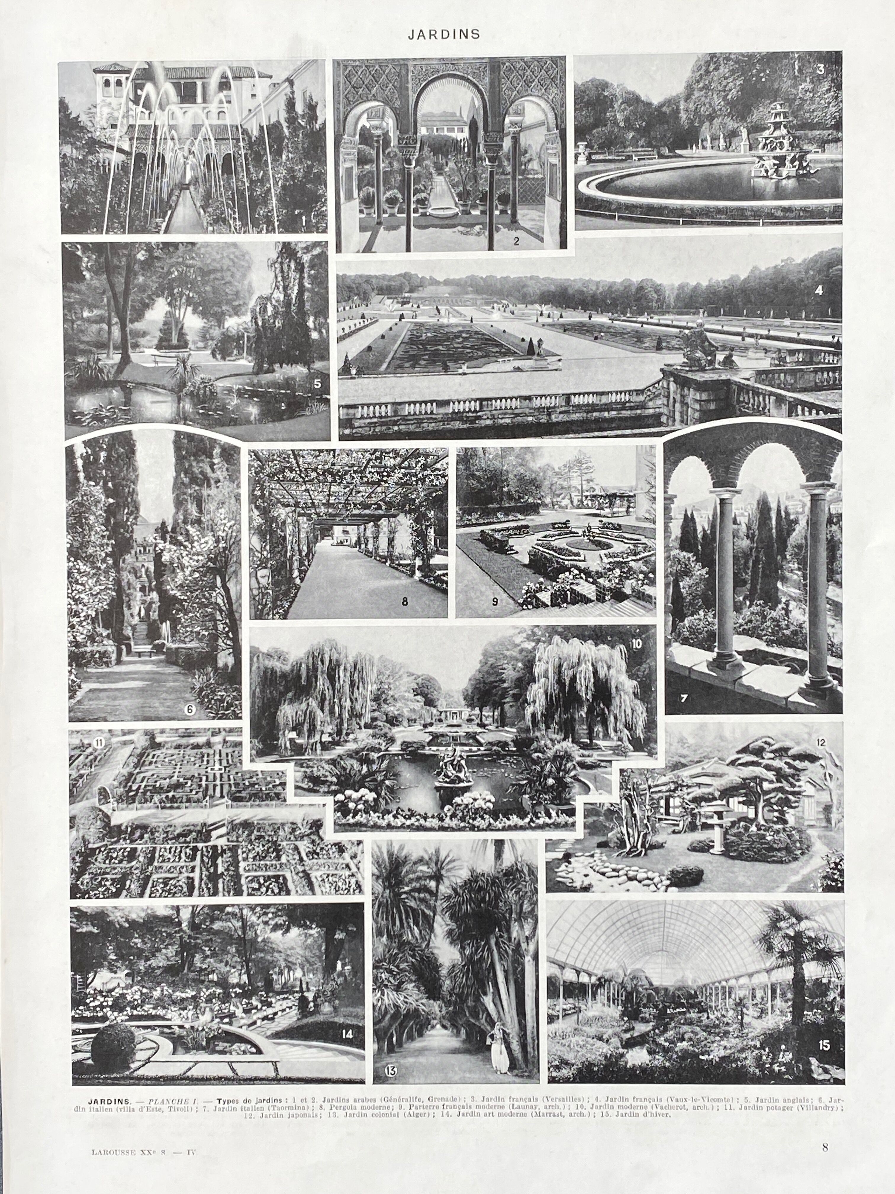 Illustration Millot "Ornamental tree gardens"