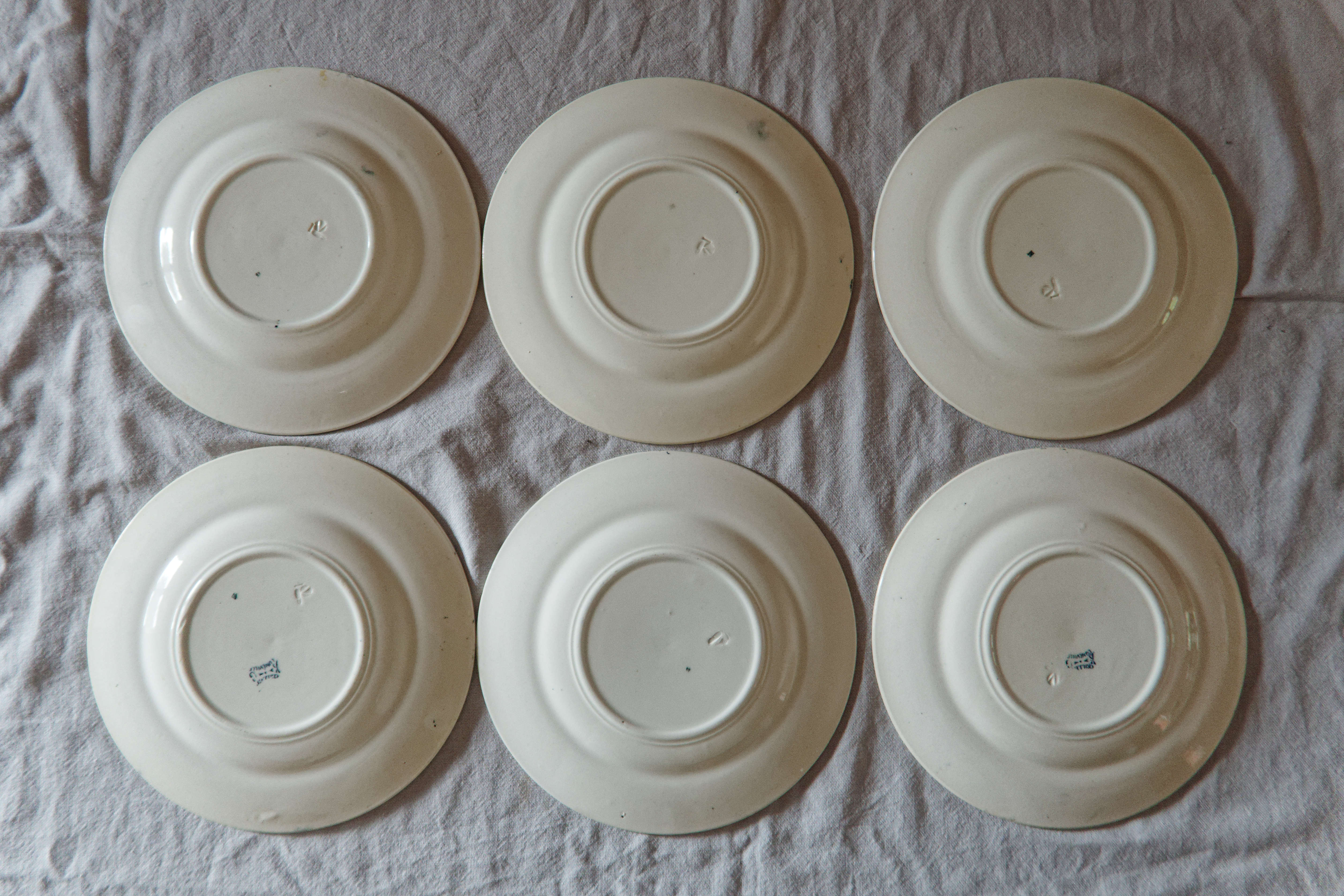 Lot 6 flat plates old iron earth K&G Lunéville Carnations