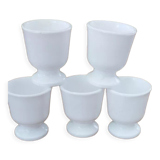 5 cockerpillars