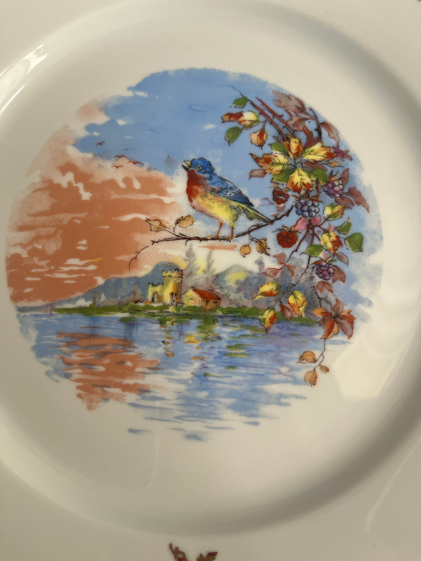 Antique Limoges porcelain plate – bird decoration – 25 cm