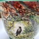 Old plant pot