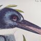 Old bird engraving -The Alcyon- Ornithological plate by Seligmann & Catesby. 1973