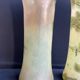 Pair of FT Legras Toul vases – 19th century
