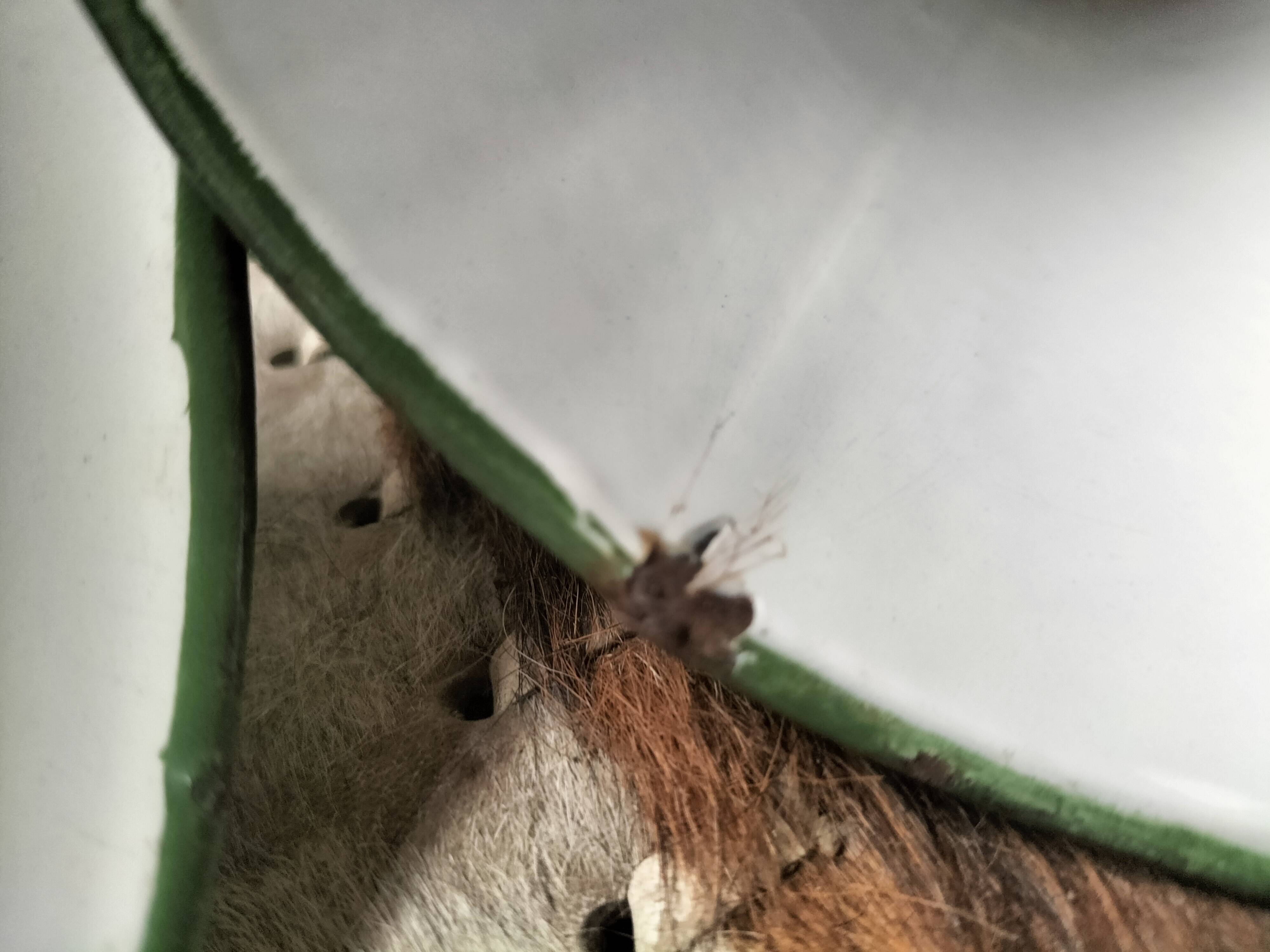 2 enameled sheet metal cone pendants