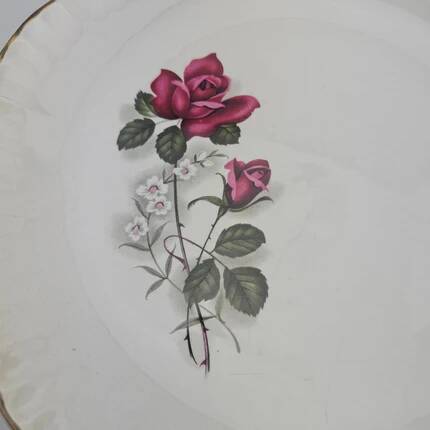 6 assiettes plates en porcelaine Digoin Sarreguemines - Modèle Sévigné