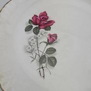6 assiettes plates en porcelaine Digoin Sarreguemines - Modèle Sévigné