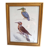 2 birds