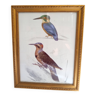 Tableau 2 oiseaux