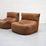 Aralia Chair by Michel Ducaroy for Ligne Roset 1970s