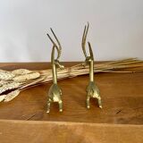 Pair of brass antelopes