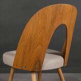 Set of 8 dining chairs by A. Šuman, 1960s
