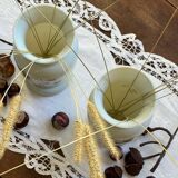 Paire de vases 19e en verre opaline signés