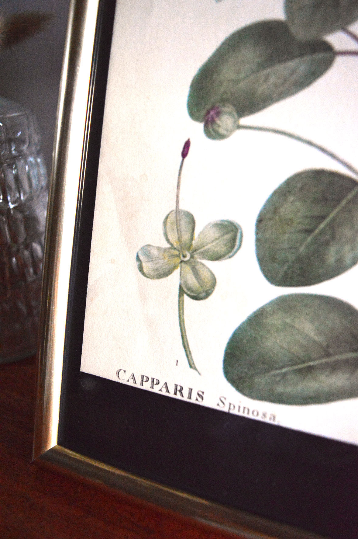 Affiche pharmaceutique encadrée