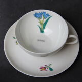 6 CUPS and undercups in NBD Limonges porcelain, hand illuminated, floral patterns