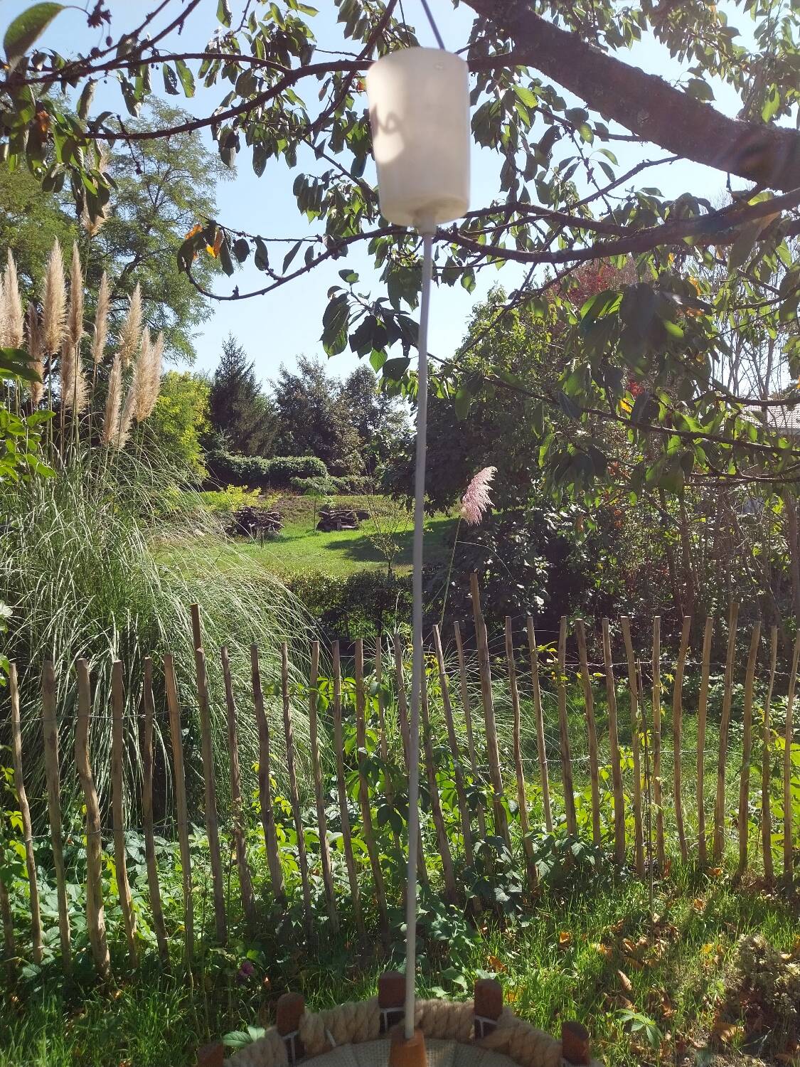 Wool and wood suspension