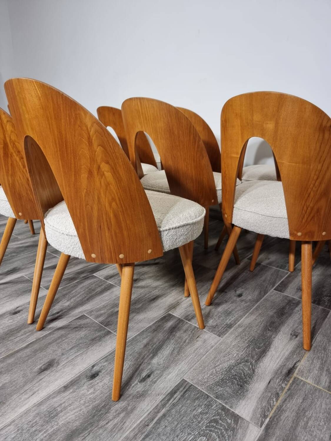 Dining Chairs from Antonin Suman, 1960s, Set of 12