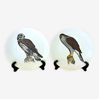 Pair of round, flat, porcelain plates, centered with birds of prey