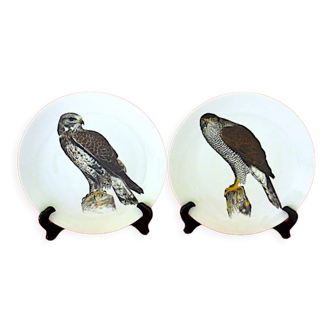 Pair of round, flat, porcelain plates, centered with birds of prey