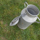Zinc milk phony broc