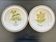Collection of 2 botanical dishes made in Italy.