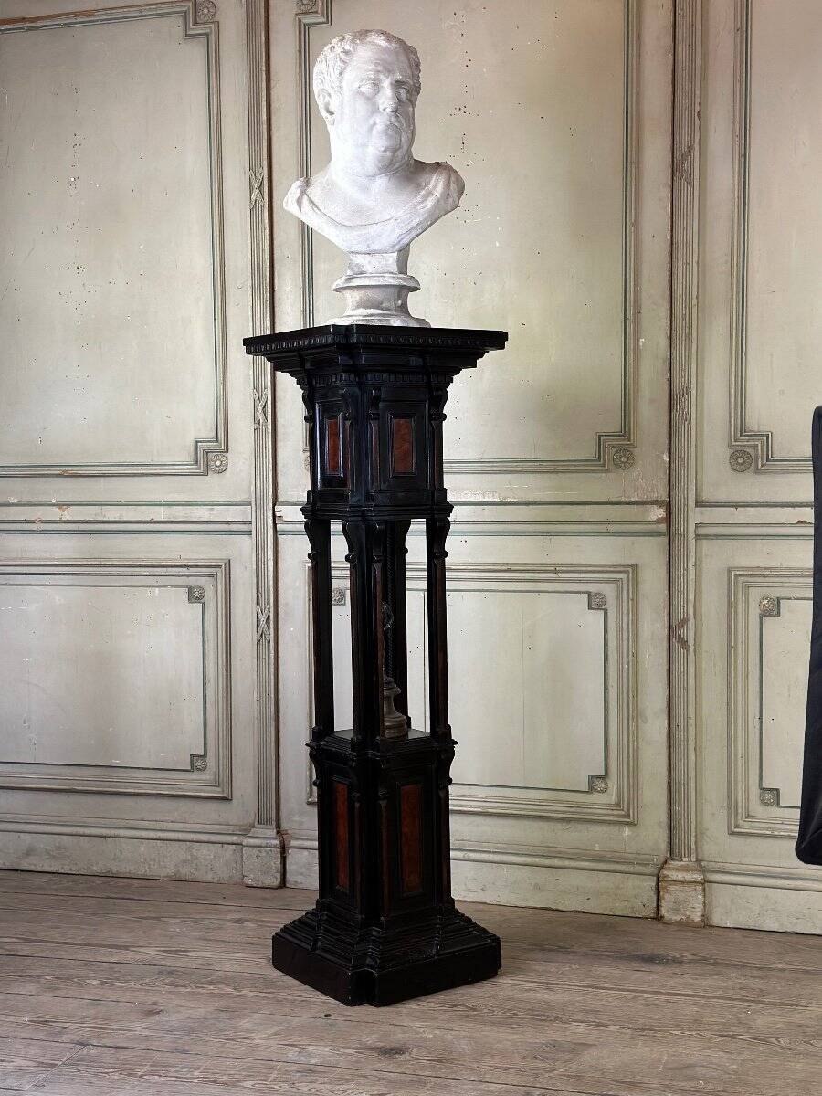 A pedestal table in blackened wood and burl veneer, superb assembly of moldings circa 1880