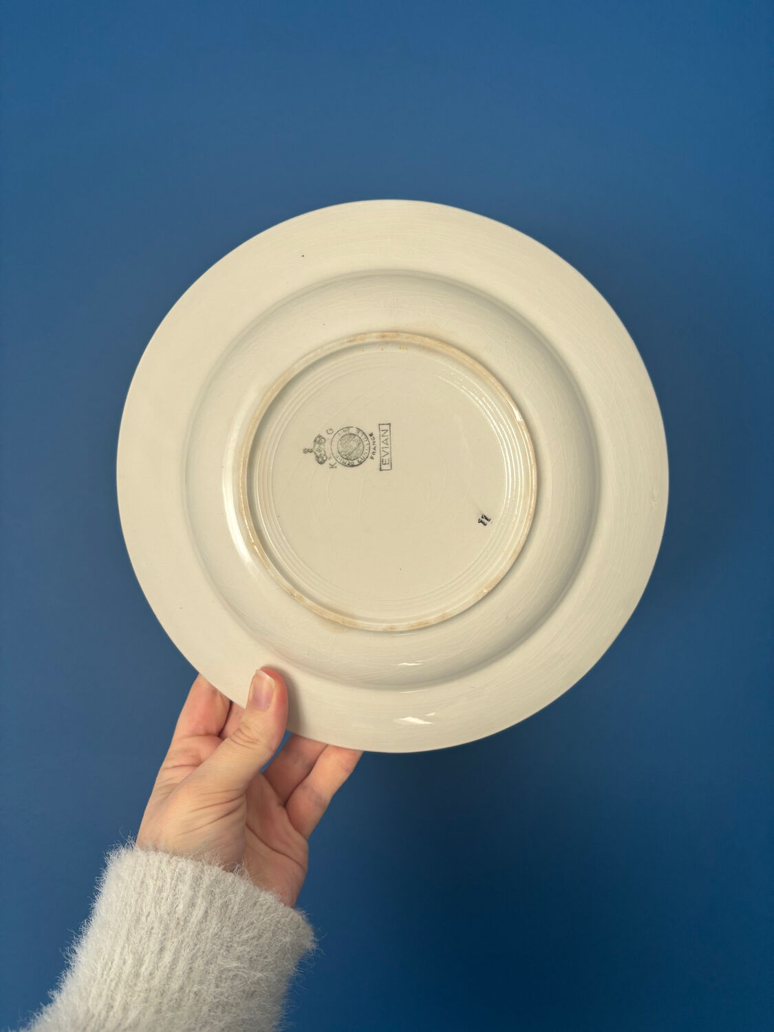 Vintage Luneville deep plate set model Évian – floral decoration