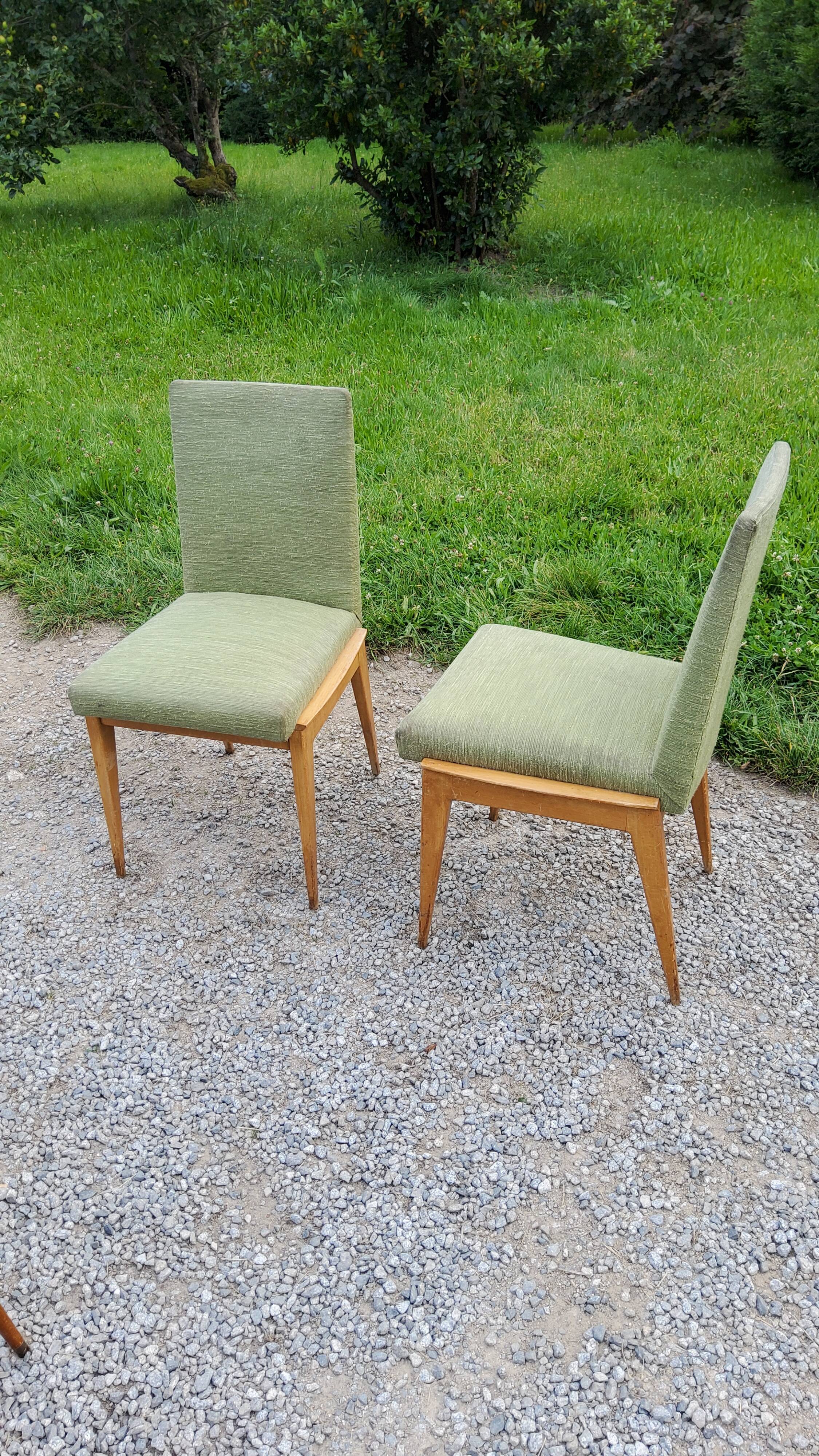 Pair of chairs from the 50s in sycamore tinted beech