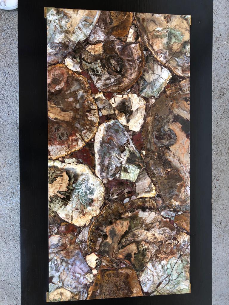 Coffee table with petrified wood top
