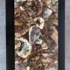Coffee table with petrified wood top