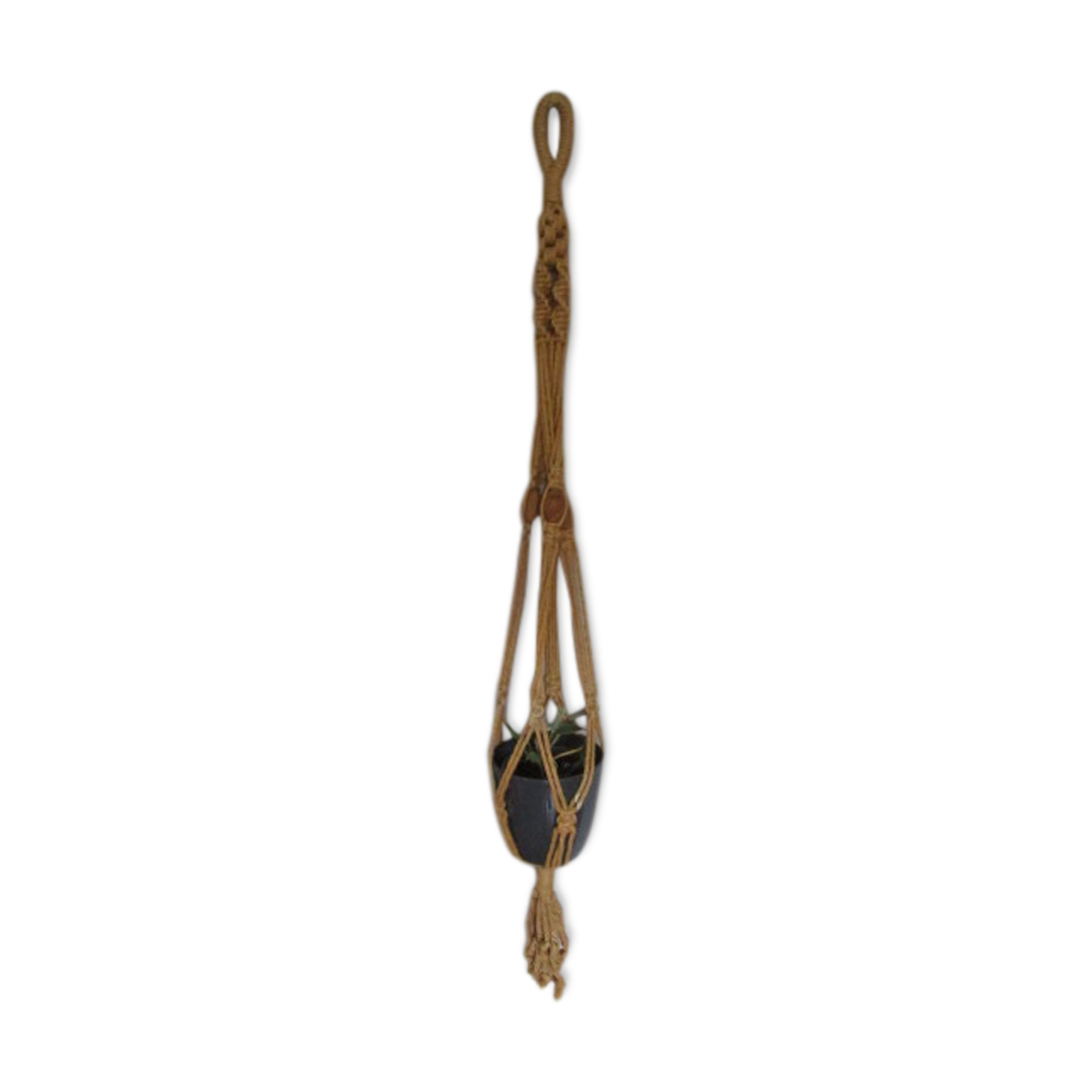 Ancient plant door in macramé