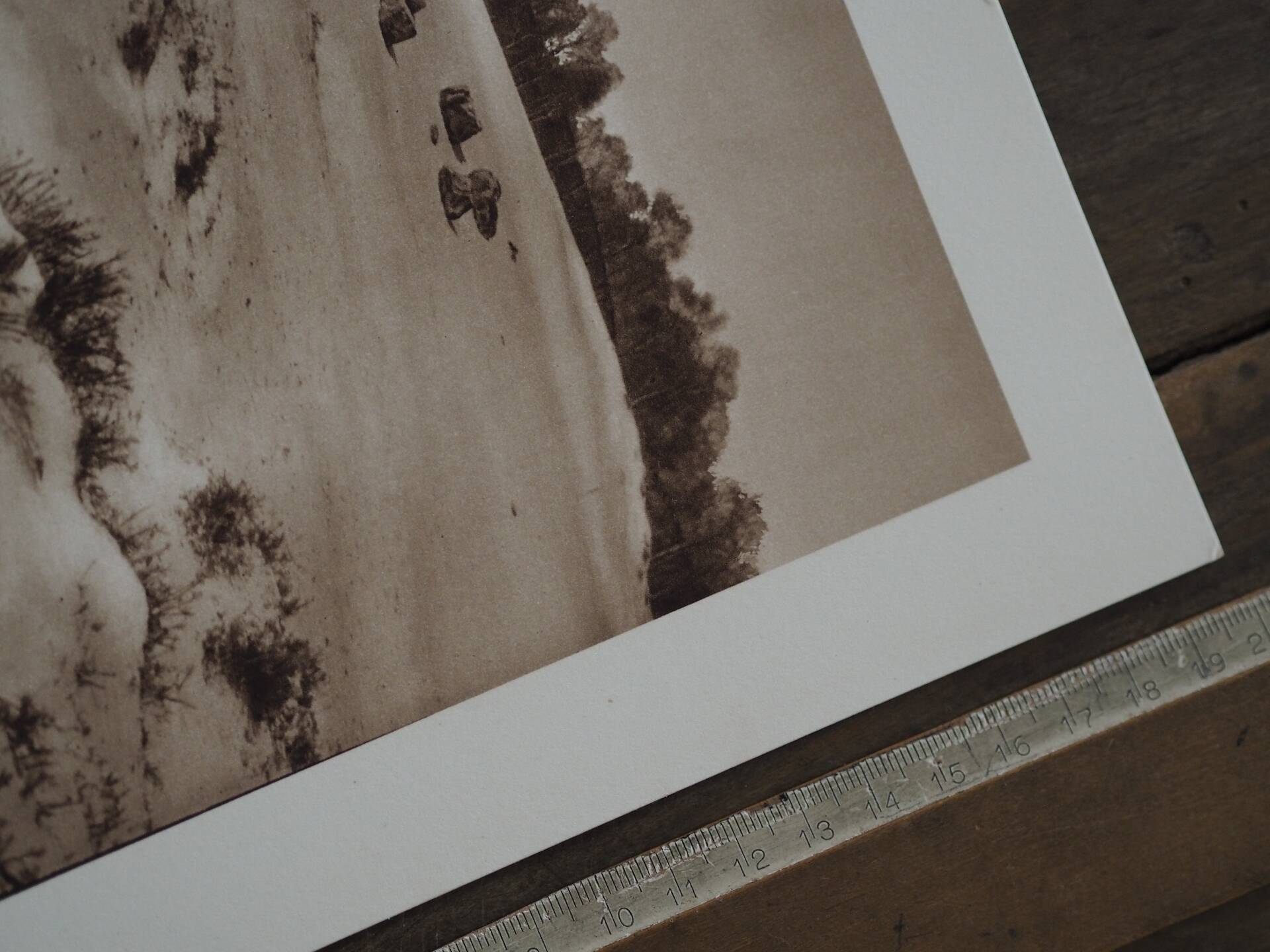 Ermenonville, the sea of sand. Photo board printed in 1934.