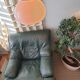 Fauteuil cuir vert anglais 1980