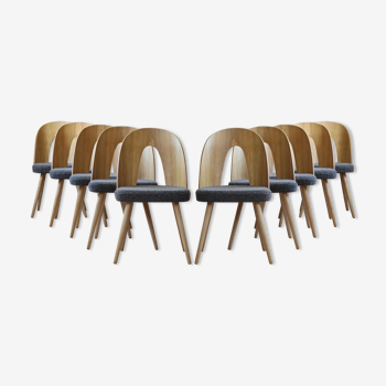 Ensemble de 10 chaises de salle à manger du milieu du siècle par A.Šuman, rembourrage personnalisable disponible