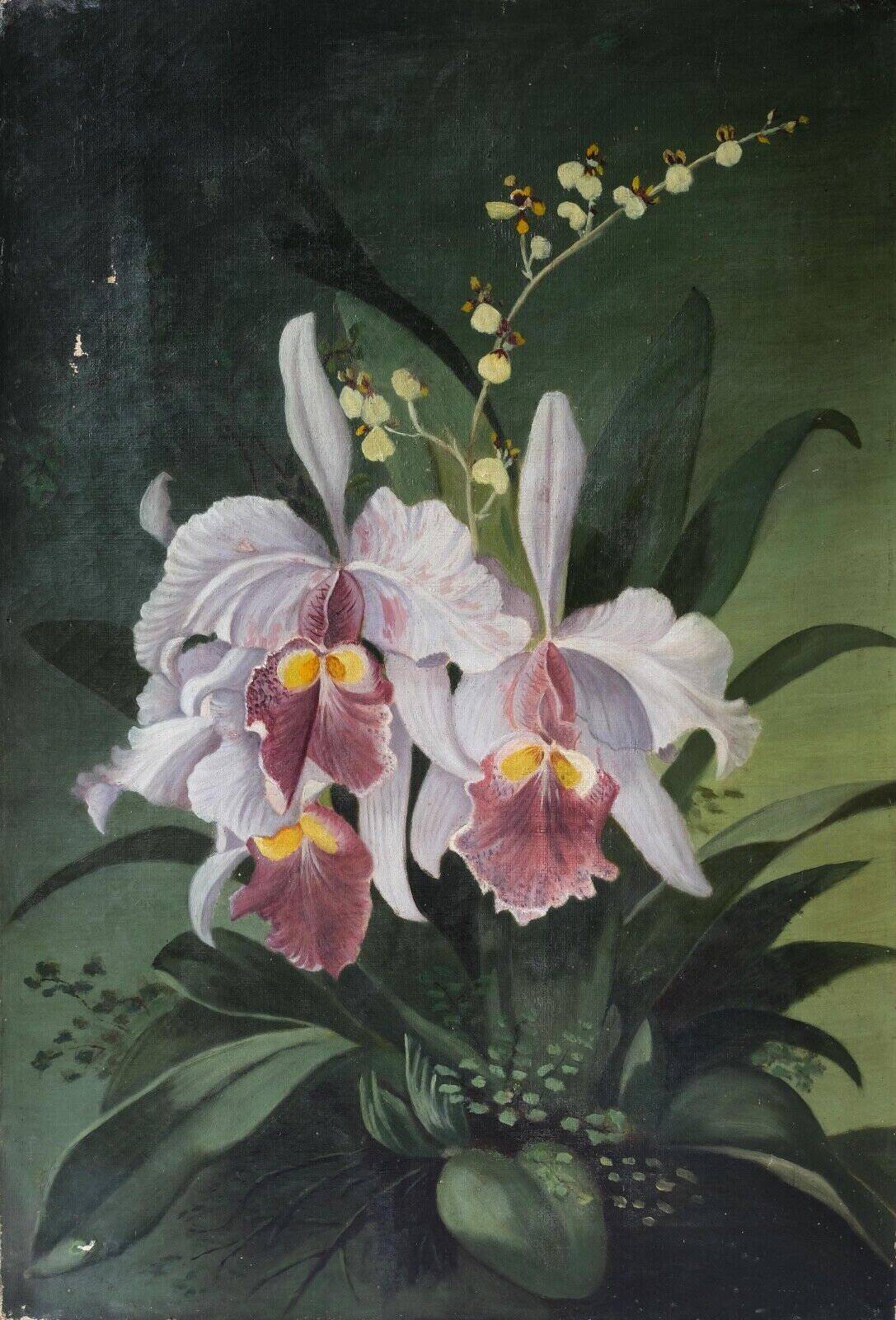 Painting of orchids, flowers, still life bouquet.