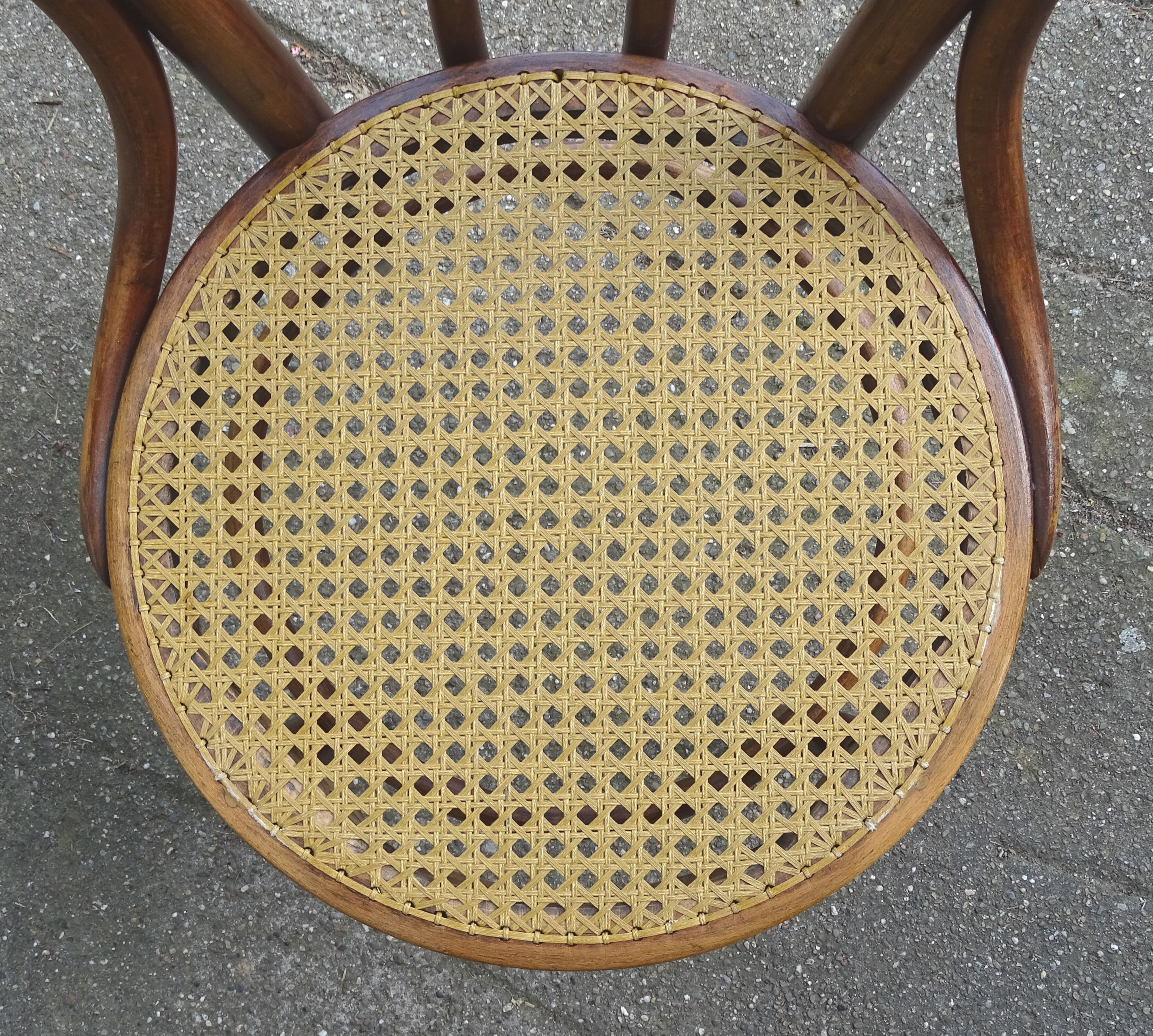 Canned bistro chair Kohn N°36 1890