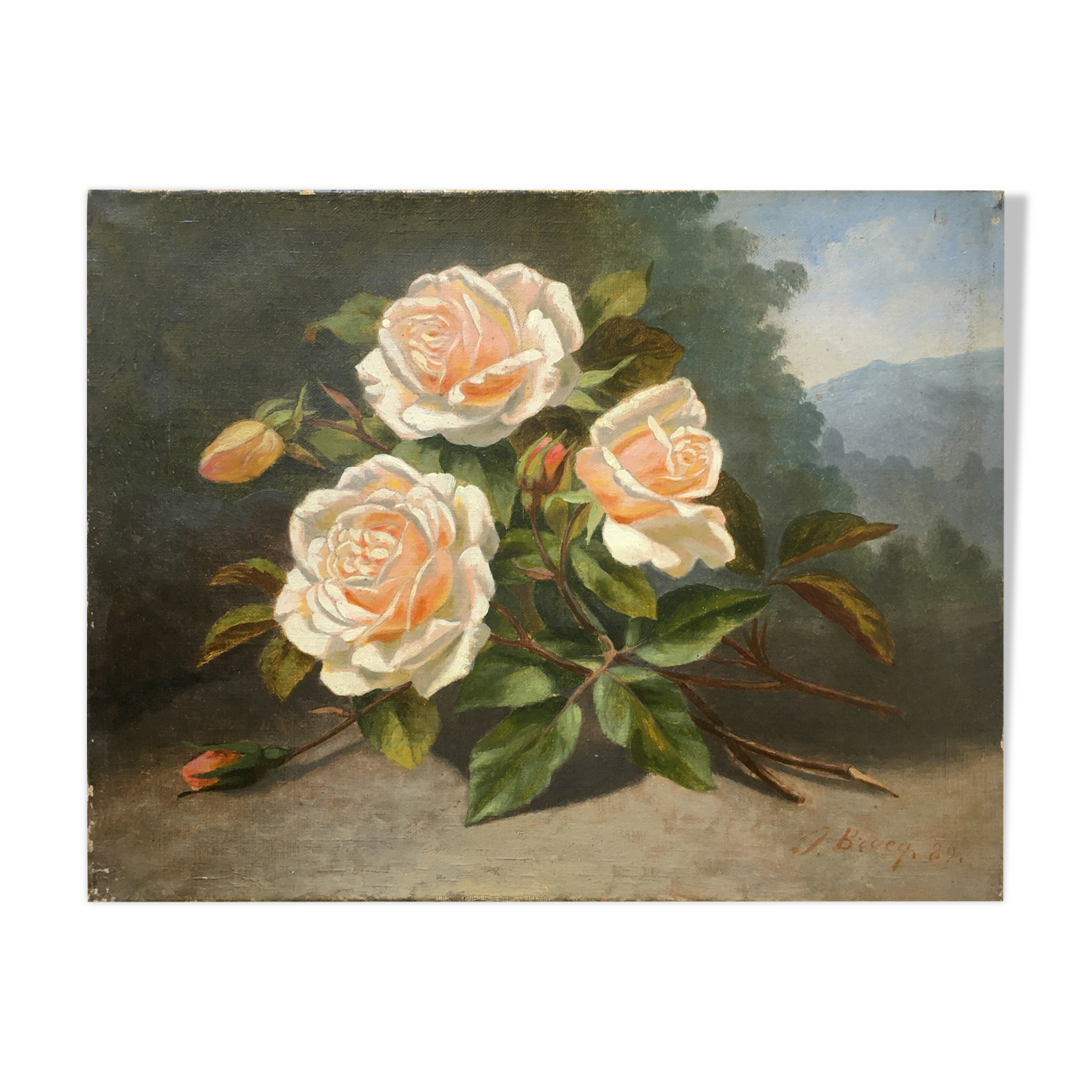 Painting "Gardened Rose Jetty" Flowers by Pierre Jules BROCQ (1811-?)