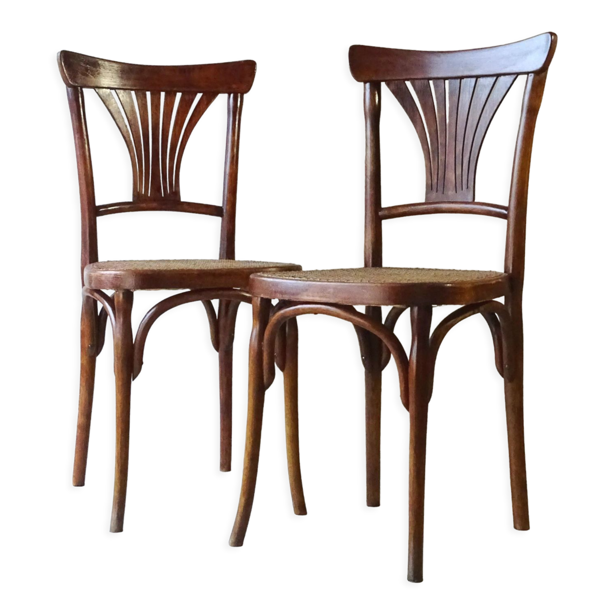 Two bistro chairs kohn n°196 in palmette, circa 1906, tanned