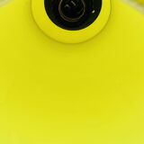 Yellow opaline suspension
