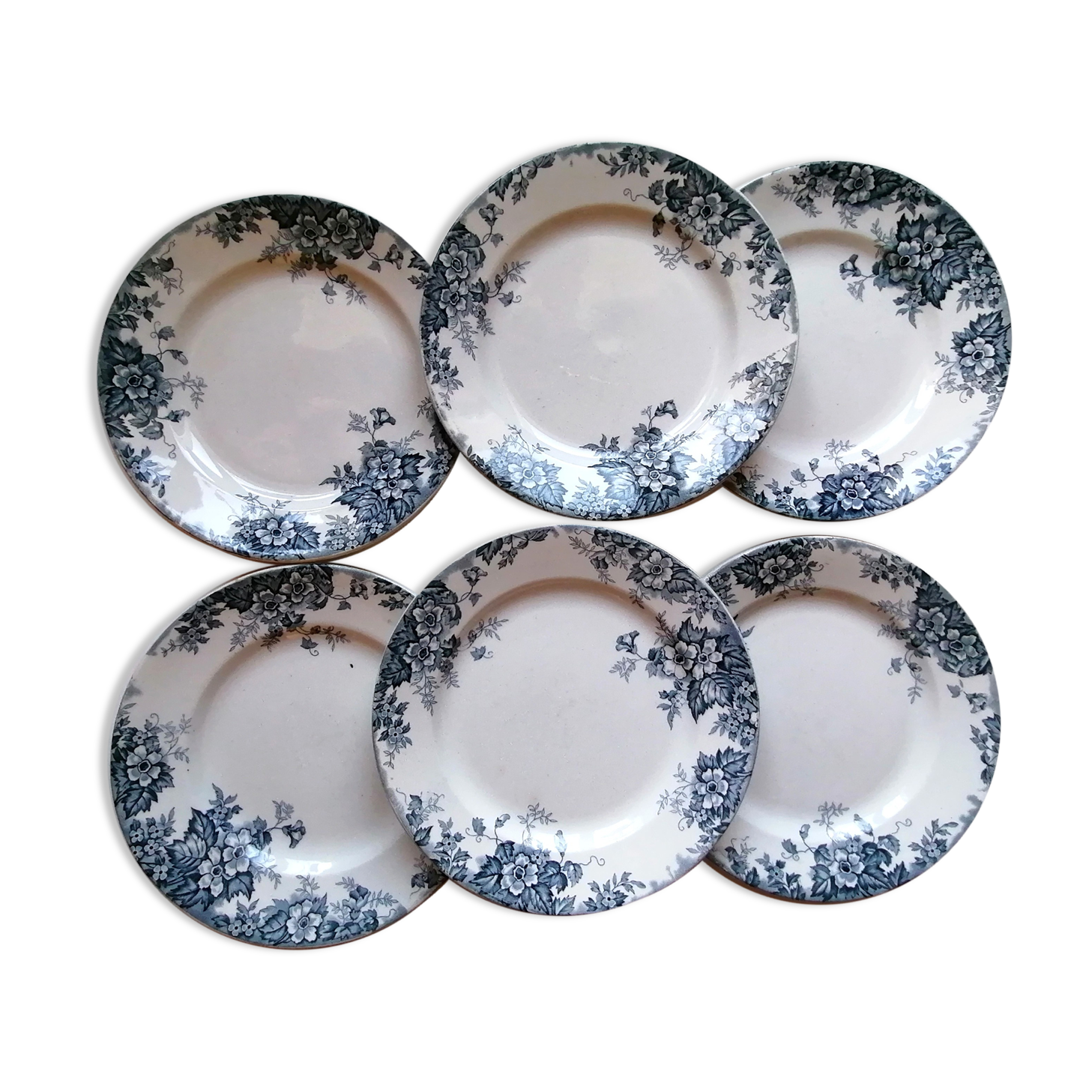 6 plates earth of iron blue and white mill of wolves