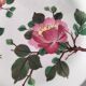 Set of four floral plates Longwy Toledo Talavera Sarreguemines LB