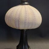 Cabinet of Curiosities sea urchin priest's bonnet tripneustes gratilla on a pedestal