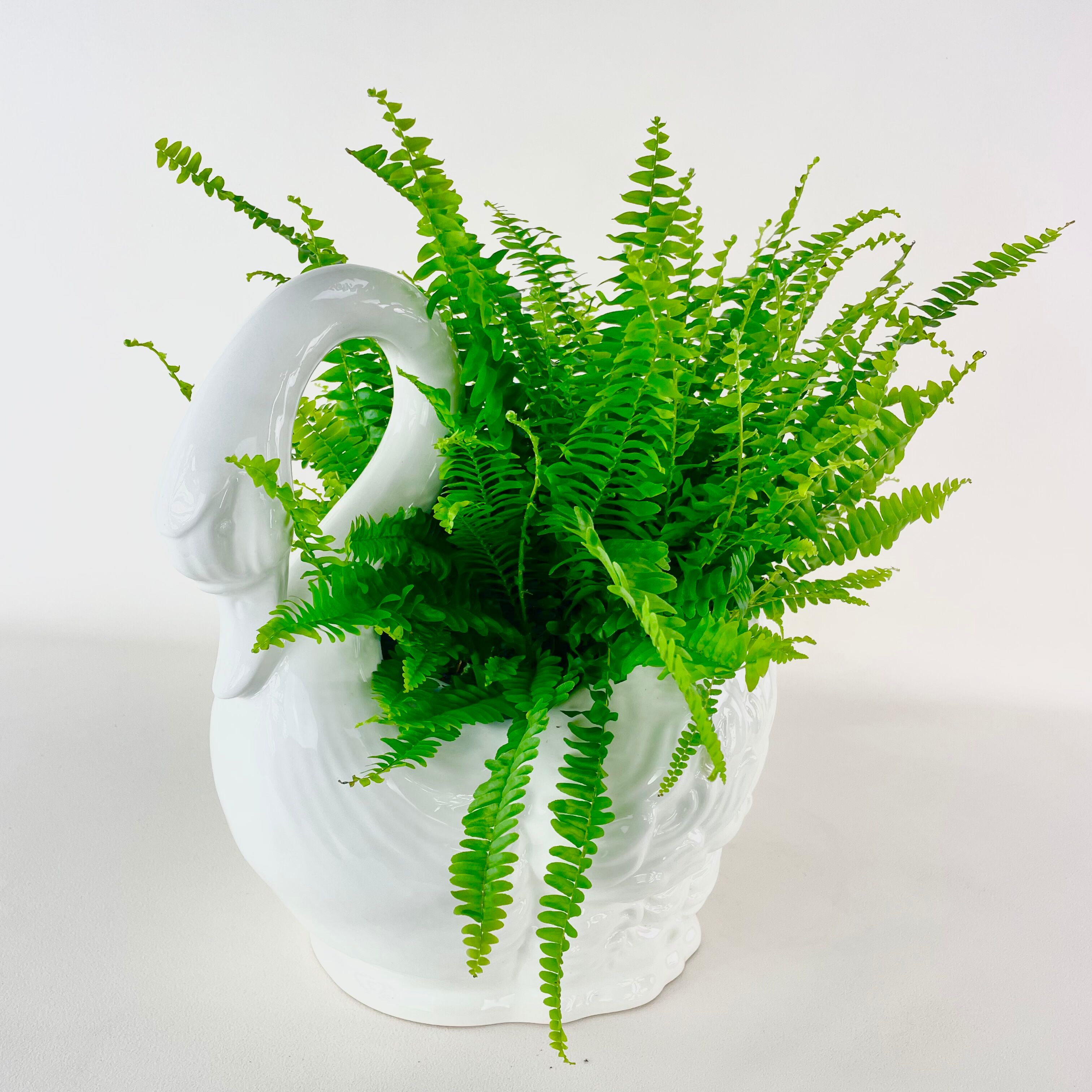 Ceramic pot cover in the shape of a swan, circa 1970