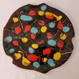 Dish 60 multicolored vercor